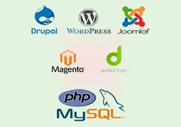 PHP MySql course for Industrial Training in Chandigarh & Mohali and Online Classes by Deepak Smart Programming